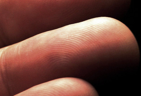 сканер отпечатков пальцев iPhone 5S