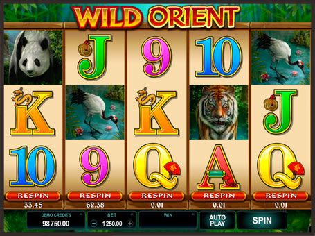 Wild Orient