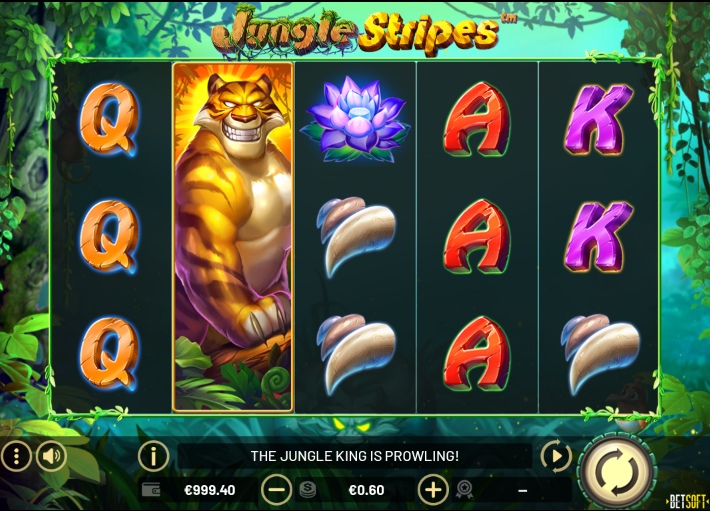 Jungle Stripes