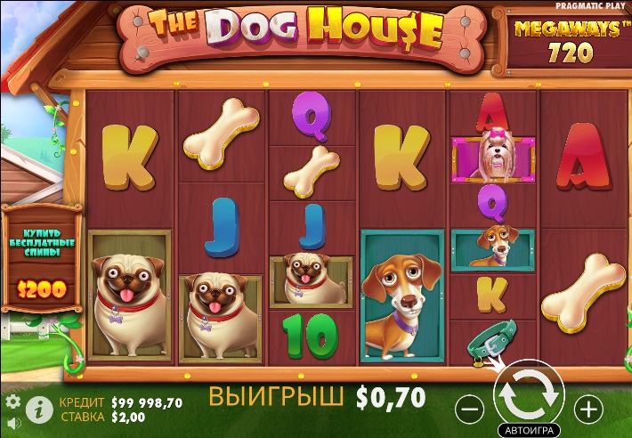 The Dog House Megaways