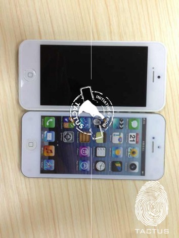 фото бюджетного iPhone