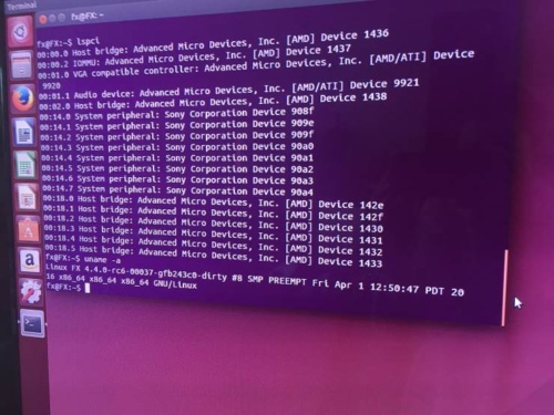 Ubuntu PS4